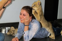 Kate Walsh comes to Blackjaguarwhitetiger Foundation to show her full support. Kate learns a lot of how the Foundation runs from Founder Eduardo Serio. Kate gets to spend time with 5 month old pumas, 4 month old lions, a 5 month old black jaguar, 250 pound year old lions, and gets to play with and feed lion cubs. Pictured: Kate Walsh Ref: SPL996172 140415 Picture by: EBLV / Splash News Splash News and Pictures Los Angeles: 310-821-2666 New York: 212-619-2666 London: 870-934-2666 photodesk@splashnews.com